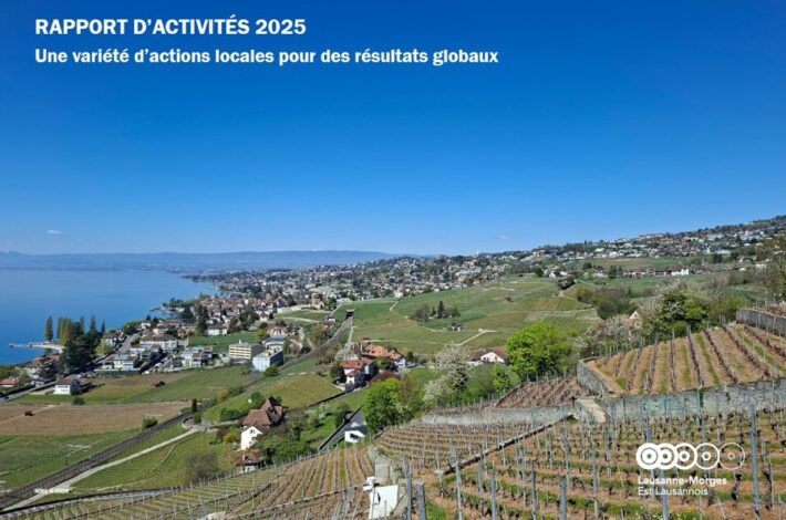 Rapport d&rsquo;activités 2025