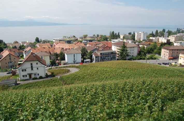 Vignes de Paudex © Paudex